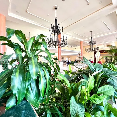 Apartman Studio By The Sea, Heated Pool In Tenerife South *